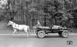 Für westliche Augen eher ungewohnt, der Abtransport eines toten Pferdes auf einer Landstraße bei Siedlce. (01.08.1974) <i>Foto: Johannes Glöckner</i>