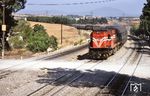 Der "Venezia-Express" (Athen - Venedig) mit OSE A-452 bei Avlonas in der Region Attika. (27.05.1990) <i>Foto: Manfred Kantel</i>