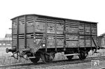 Der Verschlagwagen der Verbandsbauart A8 wurde ab 1913 bis 1927 in insgesamt 2133 Exemplaren gebaut. Zuerst als V(h) Altona, ab 1937 als V(h) Hamburg bezeichnet, trug der Wagen die Bezeichnung "Vh 14" bei der DB, die letzten Exemplare wurden um 1965 ausgemustert. Er glich einem gedeckten Güterwagen, hatte jedoch Lüftungsöffnungen, indem in den Seiten- und Stirnwänden zwischen den einzelnen Brettern Lücken gelassen wurden. Daher kam auch der Name Verschlagwagen. Typisch waren die Lüftungsklappen und der zweite Boden, um die Tragfähigkeit des Wagens voll ausnutzen zu können. Der insgesamt etwa zwei Meter hohe Laderaum wird hierbei optimal ausgenutzt, indem Kleinvieh wie Schweine, Ziegen und Schafe in zwei Ebenen verladen wurden. Trennwände ermöglichten eine vertikale Unterteilung des Laderaums in Verschläge die mit den Buchstaben A bis F, außen aufgemalt, bezeichnet wurden. (1951) <i>Foto: Bustorff</i>