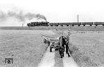 Eine PKP Ty2 (ehemalige BR 52) als Schiebelok am Güterzug mit Ty 51 bei Krasnik. Nach dem Zweiten Weltkrieg verblieben über 1200 Lokomotiven der Baureihe 52 bei der PKP. Zusätzlich wurden noch 220 Maschinen aus der Sowjetunion übernommen. (16.08.1975) <i>Foto: Johannes Glöckner</i>