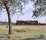 Eine PKP Ty51 bei Rozwadow. Die 1951 entwickelte Lok ist der Nachbau einer amerikanischen Type, die als Ty246 in Polen im Einsatz war. 242 Lokomotiven wurden zwischen 1953 und 1958 in den Posener Cegielski-Werken hergestellt. Als 1958 mit der Ty51-232 die letzte Lok fertiggestellt wurde, wurde der Dampflokomotivbau für die polnische Staatsbahn eingestellt. Die Reihe Ty51 waren noch bis in die 1990er Jahre im Einsatz. (15.08.1975) <i>Foto: Johannes Glöckner</i>