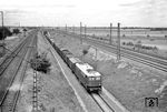 E 40 176 (Bw Offenburg, Abnahme am 18.11.1960) mit einem Güterzug zwischen Mannheim-Friedrichsfeld und Heidelberg-Wieblingen. (15.07.1961) <i>Foto: Helmut Röth *</i>