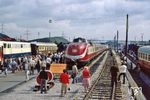 601 019/011, 110 439 (links), 41 241 und zahlreiche weitere Fahrzeuge beim Tag der offenen Tür im Westhafen der Wanne-Herner-Eisenbahn. (04.09.1983) <i>Foto: Joachim Bügel</i>