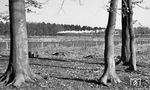 Eine unbekannte Wittenberger 01.5 mit D 405 im Sachsenwald bei Friedrichsruh.  (11.02.1973) <i>Foto: Dr. Thomas Obst</i>