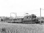 CSD E 436 002 mit einem Lokalbahnzug bei Tabor. Die Nebenbahn zweigt in Tabor von der Hauptbahn Ceske Velenice – Praha ab und führt nach Bechyne (Bechin). Zur Zeit ihres Baues war sie die erste elektrisch betriebene Vollbahn Österreich/Ungarns. Heute ist sie die letzte noch mit 1,5 kV Gleichstrom betriebene Eisenbahnstrecke Tschechiens. Die 1927 entstandene E 436 002 war ursprünglich für den Zugverkehr auf den elektrifizierten Anschlussbahnen im Prager Knoten zwischen den Bahnhöfen Smichov und Vrsovice vorgesehen. Nach dem Wechsel des Stromsystems auf 3000 V Gleichstrom wurde E 436.002 auf die Bahnstrecke Tabor – Bechyne umgesetzt und dort 1966 ausgemustert. (12.06.1964) <i>Foto: Joachim Claus</i>