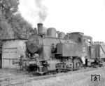 OHE 89 155 (Borsig, Baujahr 1920) kam fabrikneu als Lok 7 zur Kleinbahn Lüneburg – Soltau, 1938 als Lok 2'' an die Kleinbahn Winsen – Evendorf – Hützel. 1944 wurde sie von der neugegründeten OHE übernommen, wo sie noch bis 1963 tätig war. (14.09.1960) <i>Foto: Detlev Luckmann</i>