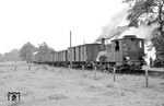 Die 1901 bei Jung gebaute Lok 330 mit einem Güterzug in Basdahl. 1960 wurde sie ausgemustert. (22.08.1958) <i>Foto: Gerd Wolff</i>