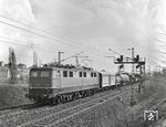 E 50 104 (Bw Bebra) rollt auf der Cornberger Rampe talwärts. Der Steigungsabschnitt von Bebra nach Cornberg war der erste Streckenabschnitt, der 1951 bei der DB mit Gleiswechselbetrieb ausgerüstet wurde. (11.04.1967) <i>Foto: Joachim Claus</i>