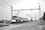 Tw 1008 mit Bw 557 und 664 auf der meterspurigen, elektrifizierten Schmalspurbahn Bad Dürkheim – Ludwigshafen-Oggersheim, auch Rhein-Haardtbahn genannt, in Friedelsheim. (12.05.1962) <i>Foto: Helmut Röth *</i>