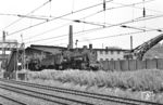 Blick auf die zwei pr. G 8.1 im Bw Wiesbaden. Neben 55 2967 als zweite Lok, will der Fotograf vorne die 55 2928 ausgemacht haben, was aber nicht sein kann, da die Maschine nach 1945 in Polen blieb. (08.05.1965) <i>Foto: Kurt Eckert</i>