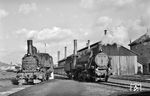 In der Zugförderstelle der GKB in Graz haben sich GKB 372 (Baujahr 1891) und 56.3195 (Baujahr 1917) eingefunden. (16.03.1966) <i>Foto: Kurt Eckert</i>