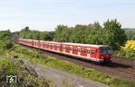 Als Verstärkungszüge im Berufsverkehr sind die 420 an Rhein und Ruhr weiterhin unverzichtbar. Hier sind 420 402 und 420 418 als S 31879 nach Wuppertal-Vohwinkel bei Hochdahl-Millrath unterwegs. (17.05.2017) <i>Foto: Joachim Bügel</i>