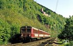 Mit dem Gegenzug N 7310 nach Heidelberg ist 455 402 unterhalb der Burg Schadeck zwischen Neckarsteinach und Neckargemünd unterwegs. (18.05.1984) <i>Foto: Wolfgang Bügel</i>