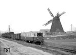 Der schmalspurige T 53 (DWK, Baujahr 1927, 1953 von der Flensburger Kreisbahn übernommen) mit einem Rollwagen-Güterzug vor der Holländermühle "Paula" in Steinhude.  (11.03.1961) <i>Foto: Detlev Luckmann</i>