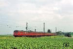 Der Abschied von der E 18 war gleichzeitig auch der Abschied von der Baureihe 432 (ET 32) bei der DB, der eher unspektakulär mit den Pendelfahrten zum  E 18-Abschiedsfest nach Würzburg endete. So sind hier letztmalig 432 202 und 432 201 als Dt 19105 "Pegnitzpfeil" bei Dettelbach unterwegs. (22.07.1984) <i>Foto: Wolfgang Bügel</i>
