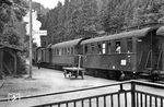 Ein Personenzug im Bahnhof Bad Teinach im Nagoldtal zwischen Calw und Wildberg.  (1950) <i>Foto: A. Grieger</i>