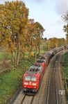 Durch den bunt gefärbten Herbstwald bei Haan ist 185 061 mit einer unbekannten Schwesterlok vor EZ 51281 auf dem Weg nach Gremberg Rbf. (13.11.2017) <i>Foto: Joachim Bügel</i>