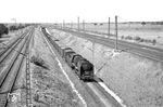 50 2580 mit einem Güterzug aus Mannheim-Friedrichsfeld bei Heidelberg-Wieblingen. (23.08.1957) <i>Foto: Helmut Röth *</i>