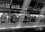 Blick in den Lokschuppen des Bw Frankfurt/M-1 mit 93 1193, 93 1191, 01 151, 01 101 und zwei weiteren pr. T 14.1. (1950) <i>Foto: Paul Trost</i>