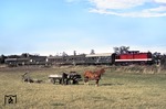 Die moderne Reichsbahn trifft mit 110 467 und einem Personenzug nach Neubrandenburg auf einen traditionellen Bauern bei Voidehagen (südlich Stralsund). (19.09.1978) <i>Foto: Peter Schiffer</i>