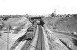 E 93 11 (Bw Kornwestheim) mit einem Güterzug kurz hinter dem Bahnhof Bretten auf dem Weg nach Bruchsal. (17.06.1958) <i>Foto: Helmut Röth *</i>