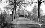 Eine unbekannte 01.10 führt den F 191 "Holland-Skandinavien-Express" nahe der Blockstelle Wohlsdorf zwischen Rotenburg und Scheeßel. (30.04.1966) <i>Foto: Detlev Luckmann</i>