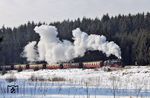 99 7239 mit Zug 8903 zwischen Sorge und Elend. (03.03.2018) <i>Foto: Thorsten Eichhorn</i>