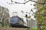 Durch die ersten zarten Frühlingsboten schiebt 110 469 den NX-Ersatzzug RB 24428 (Wuppertal-Oberbarmen - Köln Hbf) bei Haan vorbei. (13.04.2018) <i>Foto: Joachim Bügel</i>