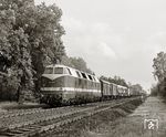 DR 118 219 vom Bw Seddin mit einem gemischten Güterzug bei Dahlewitz. (25.05.1972) <i>Foto: Hans-Joachim Simon (Archiv Ludger Kenning)</i>