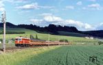 ÖBB 1044.59 mit D 430 auf der Pyhrnbahn südlich von Linz nahe St. Martin bei Traun.  (16.06.1980) <i>Foto: Wilfried Sieberg</i>