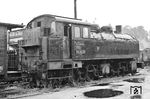 99 6011 (ex Lok 51 der Nordhausen-Wernigeroder Eisenbahn-Gesellschaft (NWE) kam erst 1959 zur meterspurigen Schmalspurbahn Gera-Pforten–Wuitz-Mumsdorf und war dort lediglich ein Jahr im Einsatz. Zum Zeitpunkt der Aufnahme in Gera-Pforten war die Lok bereits ausgemustert.  (27.06.1966) <i>Foto: Will A. Reed</i>