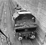 Auf der Überführungsfahrt von der Butzbach-Licher-Eisenbahn zur DGEG nach Bochum-Dahlhausen ergänzt Lok 146 ihre Kohlenvorräte im Bw Dillenburg. (11.07.1970) <i>Foto: Gerhard Moll</i>