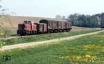 251 903 befördert auf Rollböcken verladene Normalspur-Güterwagen auf der 750mm Schmalspurbahn Warthausen - Ochenhausen bei Reinstetten.  (18.05.1982) <i>Foto: Peter Schiffer</i>