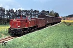 251 903 mit einem beachtlichen Güterzug nach Ochsenhausen nahe des 1959 aufgelassenen Haltepunktes Barabein. (19.05.1982) <i>Foto: Peter Schiffer</i>