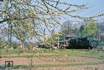 Baumblüte bei Walkenried und 051 420 (50 1420 vom Bw Lehrte) mit Dg 45865 auf dem Weg nach Ellrich/DDR.  (07.05.1976) <i>Foto: Wolfgang Bügel</i>