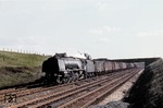 46257 mit einem Güterzug südlich Preston-Northbound auf der Linie Manchester - Lancester. (04.1963) <i>Foto: Gerald T. Robinson</i>