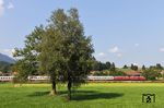 218 476 und 218 494 mit IC 2012 nach Magdeburg bei Stein nahe Immenstadt. (20.08.2018) <i>Foto: Joachim Bügel</i>