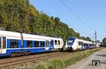 Begegnung zweier NX-Züge - NX 366 als RB 32462 nach Wuppertal-Oberbarmen (links) und NX 158 als RB 32467 auf dem Weg nach Brühl - auf der Güterzugstrecke bei Leverkusen-Alkenrath. (01.09.2018) <i>Foto: Joachim Bügel</i>