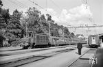 SBB Ae 3/6 10618 vor einem Sonderzug im Bahnhof Kreuzlingen. Die Ae 3/6 I wurde vom Beginn der Elektrifizierung in der Schweiz seit den 1920er Jahren bis Mitte der 1990er Jahre eingesetzt und war mit über sieben Jahrzehnten damit die langlebigste Lokomotivreihe der SBB.  (03.06.1962) <i>Foto: Helmut Röth</i>