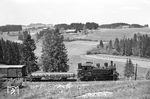98 1026 (Bw Lindau) kehrt mit einem Übergabezug aus Weiler nach Röthenbach zurück. (09.06.1962) <i>Foto: Helmut Röth</i>