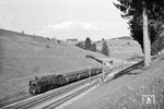 18 528 fährt mit P 1549 nach Lindau in Harbatshofen ein. (09.06.1962) <i>Foto: Helmut Röth</i>