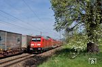 245 035 schiebt den IRE 4210 (Lindau Hbf - Stuttgart Hbf) östlich von Gingen an der Fils. (18.04.2018) <i>Foto: Zeno Pillmann</i>