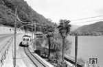 Tw 3 der Lugano-Ponte-Tresa-Bahn am südlichen Seeufer des Luganer Sees zwischen Agno und Magliaso Paese. (14.10.1964) <i>Foto: Gerd Wolff</i>
