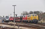 Im Betriebsbahnhof Tinnum passiert der nach Westerland einfahrende Autozug D 1438 mit 218 449 und 218 315 die dort wartenden 245 022 und 247 909. (25.01.2019) <i>Foto: Joachim Bügel</i>