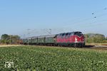 Durch die Soester Börde dieselt V 200 033 der Museumseisenbahn Hamm auf ihrer Sonderfahrt nach Höxter kurz vor Soest bei Enkesen.  (21.10.2018) <i>Foto: Ralf Opalka</i>