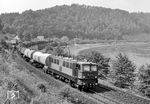 DR 242 167 (Bw Dresden) mit einem Güterzug im Elbtal bei Königstein. (02.06.1978) <i>Foto: Hans-Joachim Simon (Archiv Ludger Kenning)</i>