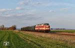 228 321 auf der Rückfahrt aus Staßfurt zwischen Heudeber und Minsleben kurz vor Wernigerode.  (30.03.2019) <i>Foto: Ralf Opalka</i>