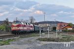 228 321 auf dem Weg von Staßfurt nach Braunschweig in Vienenburg. (30.03.2019) <i>Foto: Ralf Opalka</i>