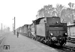 Eine der letzten Loks der Baureihe 24 bei der DB war 24 058 vom Bw Rahden (Krs. Lübbecke). Von November 1942 bis zu ihrer Ausmusterung am 10.03.1965 tat sie dort Dienst und war Vorbild für ein H0-Modell einer Göppinger Modellbaufirma. Die Lok ist mit dem P 1365 um 7.51 Uhr aus Lübbecke zurückgekommen. In Lübbecke (an/ab 7.21/30) konnte nicht gedreht werden.  (15.10.1960) <i>Foto: H. Jäger</i>
