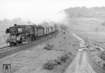 003 248-2 passiert mit einem Personenzug von Crailsheim nach Backnang eine Schafherde am Bahndamm bei Murrhardt. (15.05.1971) <i>Foto: Burkhard Wollny</i>